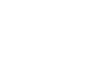 Reset App